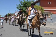 Desfile Caballos 034